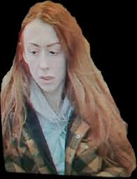 Do you know this person allegedly stealing in Cowan Heights