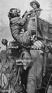 160 Elephant Rifle Stock Photos, High ...