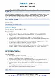 collections manager resume samples