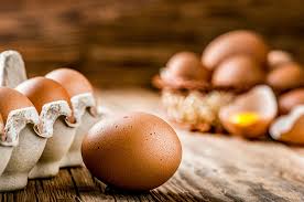 Paskah makanan warna warni makan lezat musim semi memasak telur paskah ayam telur. Pakan Ternak Juga Bisa Tercemar Dioksin Ini Jawaban Pakar