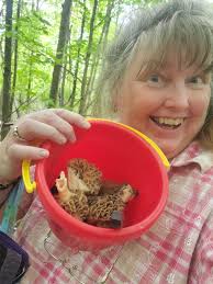 Edible mushroom identification in Adirondack NY?