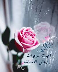 Pin By رغــــــد On القرآن الكريم السنة النبوية اذكار وادعية همسات ايمانية Islamic Pictures Hair Bow Video Islamic Messages