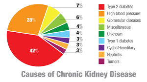 Renal Failure Chart Usdchfchart Com