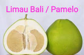 Locate the correct postal codes for limau bali in the list above by choosing the destination city or town you are sending to. Mimichee Shop Anak Pokok Limau Bali Rm25 Limau Facebook