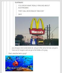Macca S Tumblr Funny Funny Tumblr Posts Funny Pictures