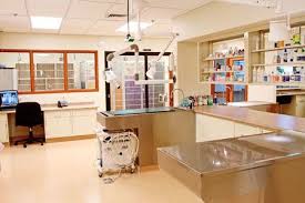 Pin By Dvm360 Com On Treatment Areas Veterinary Hospital Design Hospital Design Veterinary Clinic Veterinary Hospital