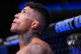 Unbeaten Ross Houston sees Cage Warriors title as 'golden ticket' to the  UFC