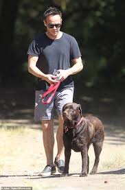Ant mcpartlin was pictured on a fun day out at the park with his beloved dog hurley on thursday. The Real Battle Behind Ant Mcpartlin S Divorce Is Who Gets Hurley The Labrador Daily Mail Online
