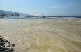 Hotel di buon livello e trattamento all inclusive. Enormi Banchi Di Schiuma Beige Invadono Il Mare Della Turchia Il Muco Di Mare Minaccia Coralli E Pesci