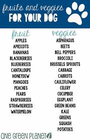 Fruits And Veggies Good For Your Dog Fruits For Dogs Dog Diet Puppy Treats