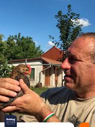 Megszólalt boldog istván fideszes képviselő azután, hogy a legfőbb ügyész a mentelmi jogának felfüggesztését indítványozta. Boldog Istvan Szepen Nonek A Csirkeink Facebook