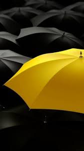 Black And Yellow Things Pin By Monica Sorensen On Yellow Things Sort Hvid Farver Sort