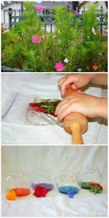 Jul 28, 2015 · you will need: Natural Watercolor Paint From Fresh Flowers Learn Play Imagine Homemade Watercolors Homemade Paint Making Paint From Nature
