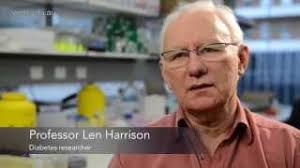 Immune protein could stop diabetes in its tracks