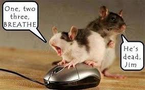 It's okay.. he just needs a recharge! #mice #animals #funny | Funny animal  quotes, Funny mouse, Funny pictures