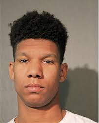 ᐅ Illinois Criminal Records 2009-2026