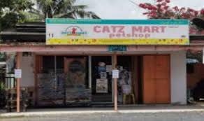 Check spelling or type a new query. Profile Public Kedai Kucing