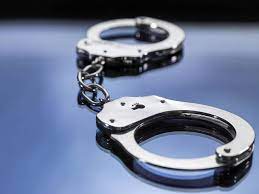 We did not find results for: Pet Adoption League Founder Arrested After Struggle At Yukon Shelter Triblive Com