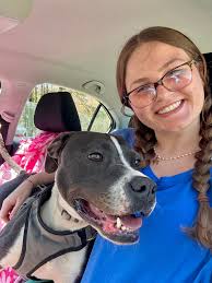 Pet and house sitting services in Clemson area