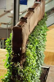 Indoor gardening ideas, kits, and supplies to get you started. Living Wall Garden Creating A Living Wall Of Plants For Indoors