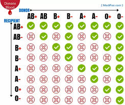 what are the compatibility of blood types quora