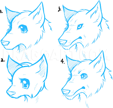 Finally add a few lines to the eyebrows to give a hint of their individual hairs. How To Draw Anime Wolves Anime Wolves Step By Step Drawing Guide By Dawn Dragoart Com