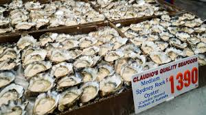 Oysters At Sydney Fish Market Things To Eat In Sydney Sydney Food Fresh Seafood Market Cafe Food