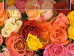 Over 1.5 million people visit the gardens each year. 10 Most Beautiful Flowers In The World World Flowers List Beauti