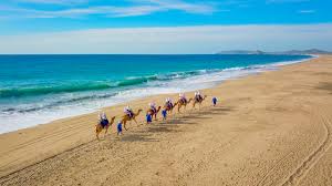 Ride camels on this baja outback jeep 4x4 safari tour! Tierra Sagrada Aventure Park For The Best Things To Do In Cabo Cabo Adventures