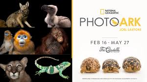 The province offers information on latest national and international events & more. Past Exhibitions The Citadelle Art Museum