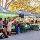 Nikenbah Markets event image