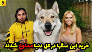 Maybe you would like to learn more about one of these? Ø®Ø·Ø±Ù†Ø§Ú© ØªØ±ÛŒÙ† Ø³Ú¯ Ø¯Ù†ÛŒØ§ Ø³Ú¯Ù‡Ø§ÛŒÛŒ Ú©Ù‡ Ø®Ø±ÛŒØ¯ Ø¢Ù†Ù‡Ø§ Ù…Ù…Ù†ÙˆØ¹Ù‡ Youtube