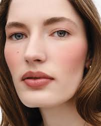 Image result for Peach Pink 1977 Hussmann