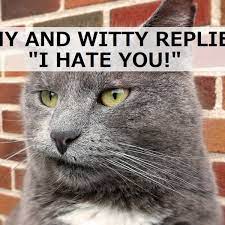 100 Funny And Witty Replies To I Hate You Pairedlife