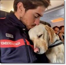 pour les amis des animaux