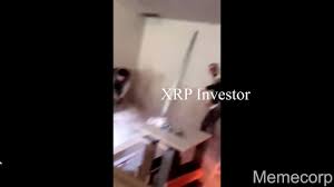 Cosmos, dogecoin, xrp análisis de precios: Bitcoin And Xrp Meme Youtube