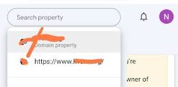 Showing 2 properties of same Domain in search console - Google ...