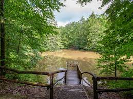 Don ed hardy brought tattoo artistry out of the dark and into the glamorous world. Hardy Pfad Gemeinde Murr