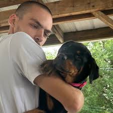 Fundraiser by Naomi Rivers : Support Whiskey's Fight for Survival