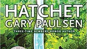Hatchet Chapters 13 15 Summary Youtube