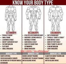 I Am A Meso Endomorph Best Workout Routine Body Types Fun Workouts