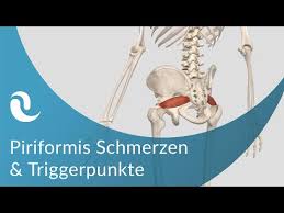 Piriformis Schmerzen Triggerpunkte Selbst Behandeln