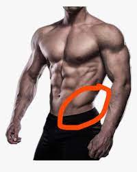 How is this sort of 'v' achieved? Is it bone or muscle? : r/GettingShredded