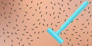 You need to get comfortable shaving that particular area because it is. How To Shave Pubic Hair Near Your Vagina Self