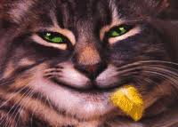 Https Encrypted Tbn0 Gstatic Com Images Q Tbn And9gcrgwtiwotl08vn Dqdy Unq Rn2vkn4hjeokw Usqp Cau