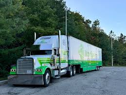 Image result for Mayflower Green 1999 Truck