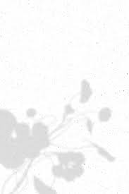 Floral Shadow On White Marble Background Vector Premium Image By Rawpixel Com Sasi V White Marble Background White Aesthetic Photography Marble Background