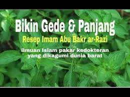 Ada yang menggelar ia cara besarkan makanan berserat seperti oat juga sangat baik untuk kesihatan. Cara Mudah Membesarkan Alat Vital Dengan Daun Kemangi Youtube