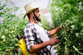 Tradicionalmente el término solía ser aplicado a cualquier animal que producía daños, los cuales ocurrían usualmente a. Como Tener Un Buen Control De Plagas En La Agricultura