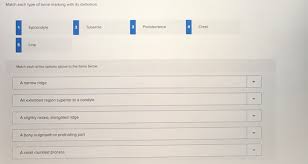 Solved Match Each Type Of Bone Marking With Its Definitio Chegg Com